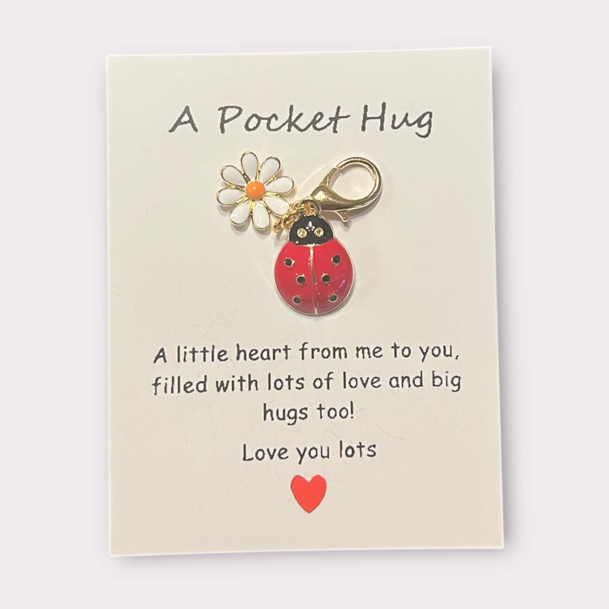 Hangertje met lieveheersbeestje, symbool voor geluk en liefde.